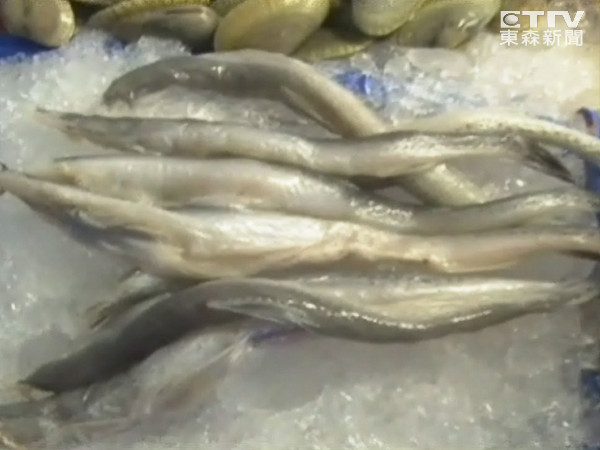 楊丞琳沒吃過豆腐魚！網友炸鍋「就是那個魚」驚人價格曝光　屏東在地人激讚：「煮湯油炸都鮮美！」