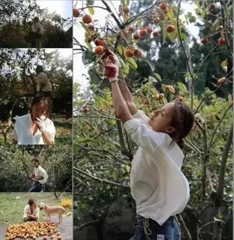 國民天后「說自己只有錢」！擔心自己出軌「下嫁醜男當農婦」　婚後「夫妻生活曝光」打破想象