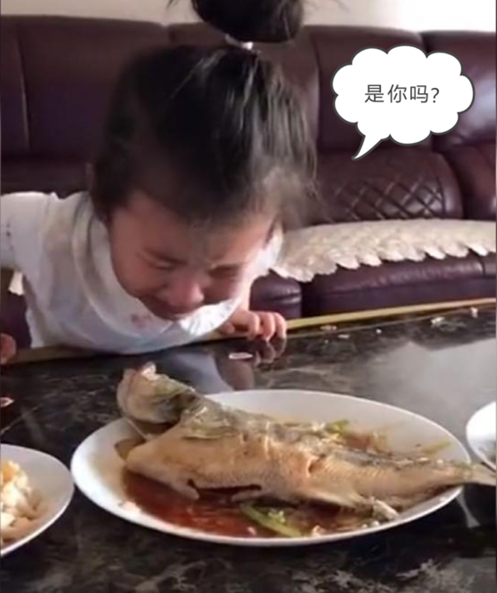 自己養的魚被燉了！女兒發現後忍不住「嚎啕大哭」　媽媽「無心之舉」引所有家長反思
