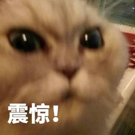 被家暴長大險弒父！因丟狗與朱茵結緣「寵妻20年」　57歲黃貫中「沉寂半生」終翻紅