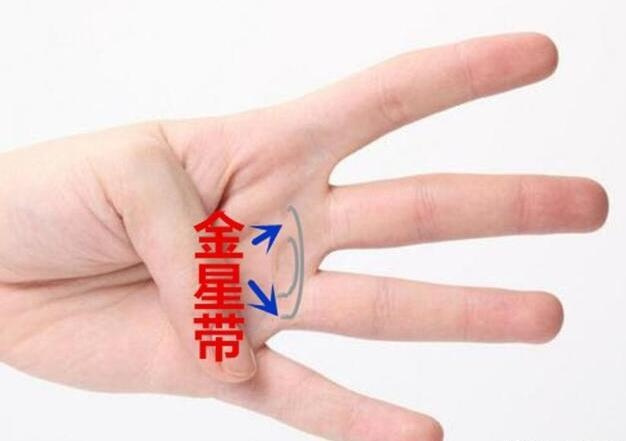 好命人！手相中有「金星帶」不僅人美財運更旺　一生「衣食無憂」非貴即富