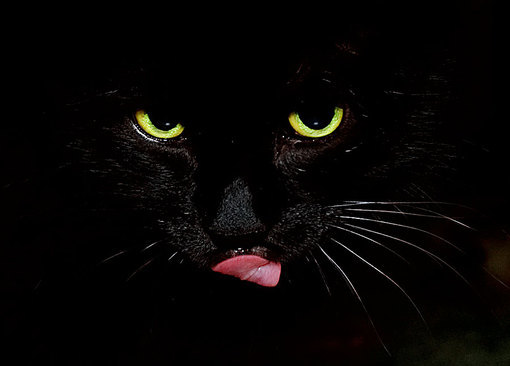 12星座「冷漠程度」排行榜！天蠍戒備心強僅排4　第1名「溫暖是假象」其實超冰冷