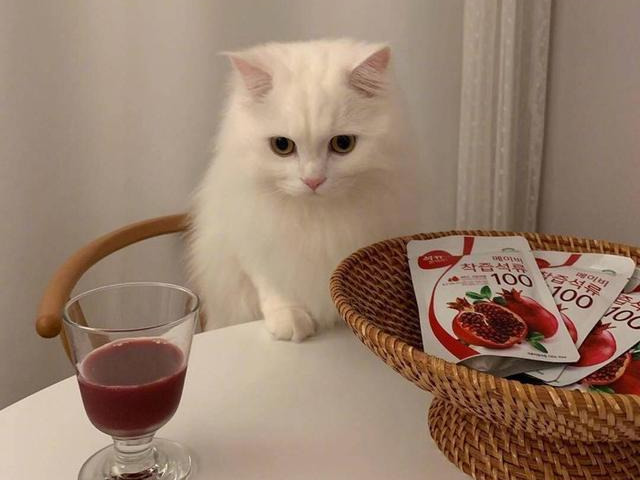 12星座「冷漠程度」排行榜！天蠍戒備心強僅排4　第1名「溫暖是假象」其實超冰冷