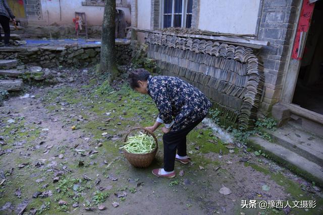 一聲不響就出門！85歲婆婆偷跑出去「兒媳爬山1小時找回」　大聲喊卻充滿關愛「親曝老家無奈處境」