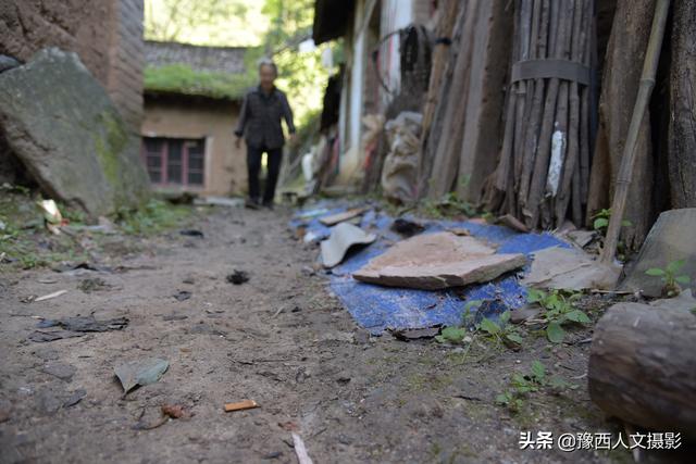 一聲不響就出門！85歲婆婆偷跑出去「兒媳爬山1小時找回」　大聲喊卻充滿關愛「親曝老家無奈處境」