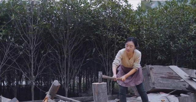 比李子柒還能幹！她離婚後「帶女兒回村種田」　開耕耘機爆紅「從負債幾十萬到身價千萬」