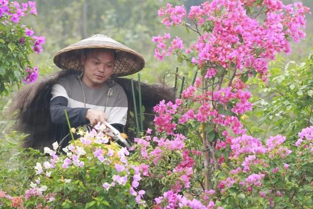 讓自己喘口氣！大律師患重度憂鬱「辭職到鄉下荒度餘生」　親力親為「打造50畝鮮花農場」不藥而癒