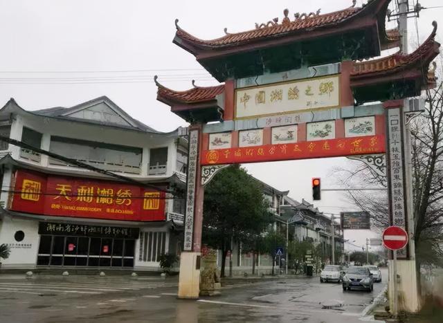 讓自己喘口氣！大律師患重度憂鬱「辭職到鄉下荒度餘生」　親力親為「打造50畝鮮花農場」不藥而癒