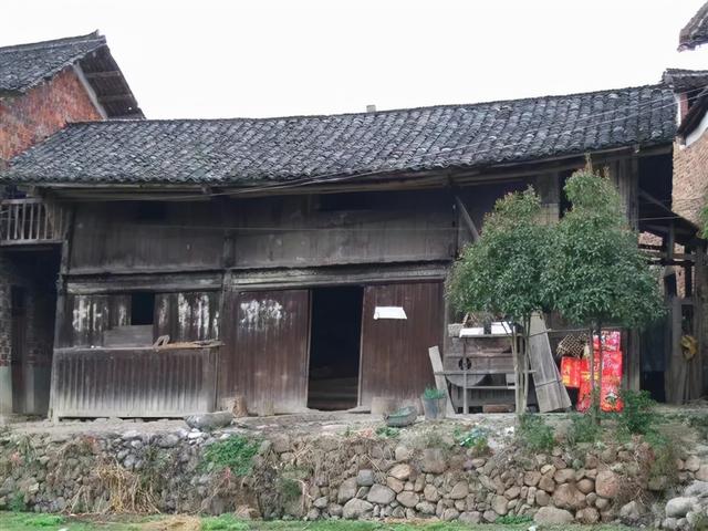 讓自己喘口氣！大律師患重度憂鬱「辭職到鄉下荒度餘生」　親力親為「打造50畝鮮花農場」不藥而癒