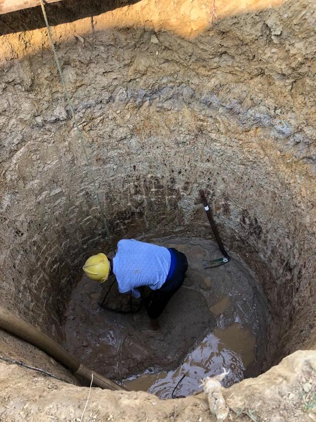 讓自己喘口氣！大律師患重度憂鬱「辭職到鄉下荒度餘生」　親力親為「打造50畝鮮花農場」不藥而癒