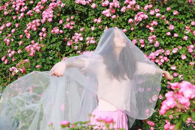 讓自己喘口氣！大律師患重度憂鬱「辭職到鄉下荒度餘生」　親力親為「打造50畝鮮花農場」不藥而癒