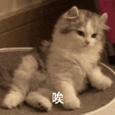 曾染髮惹毛向太！37歲郭碧婷「產女不滿1年」又被催生男孩　懷女兒時「未婚先孕」獨自待產
