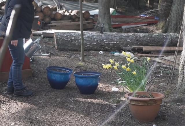 自願離群索居！夫妻跑到荒島住2年「打造3坪大蝸居」　與小鎮隔海相望「打水發電自己來」：比從前快樂