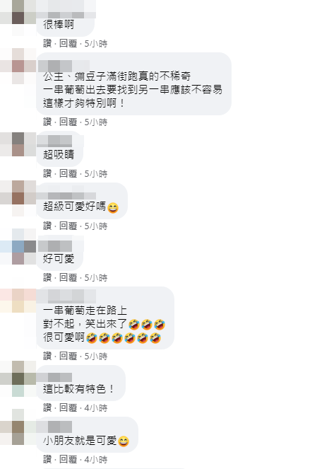 就是不想當公主!女兒「萬聖節堅持扮一串葡萄」爸超無奈 媽媽「神打造獨一無二葡萄裝」超古錐❤