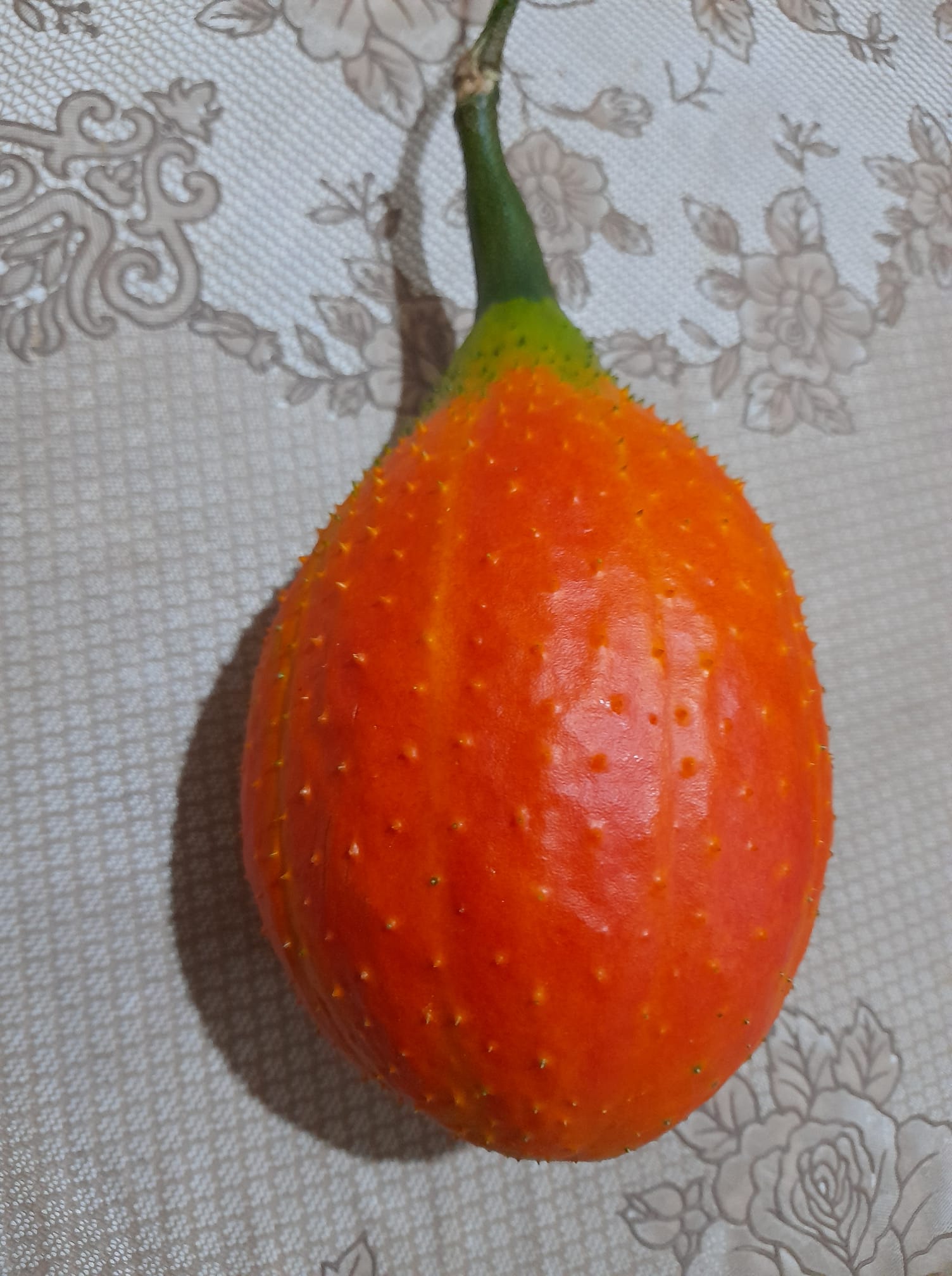 表皮都是刺！突然收到「橘紅色神秘果實」不知怎麼用　內行人讚「不常見的好東西」：煮湯超好喝！