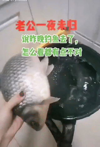 老公夜釣整晚未歸！隔天回家收穫滿滿　她開心去「處理魚」卻越看越不對勁：他撒謊了？