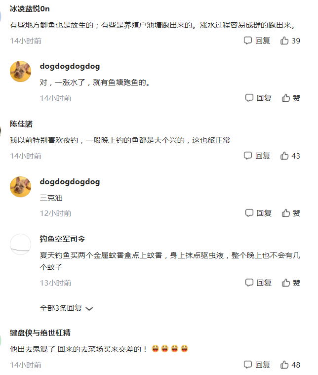 老公夜釣整晚未歸！隔天回家收穫滿滿　她開心去「處理魚」卻越看越不對勁：他撒謊了？