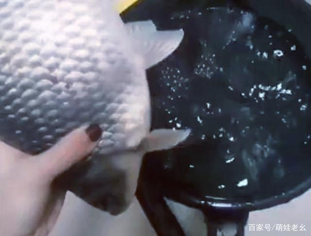 老公夜釣整晚未歸！隔天回家收穫滿滿　她開心去「處理魚」卻越看越不對勁：他撒謊了？