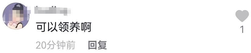 想去抱抱她！劉雪華年過一甲子曝「最大遺憾是無兒女」　獨居上海10年「最怕獨自住院」身邊無人陪