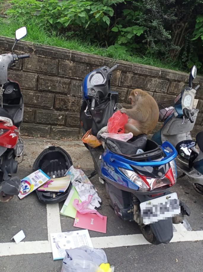 停車場驚見「機車卡超長樹枝」當地人喊:很正常!曝背後原因「沒放下場慘不忍睹」