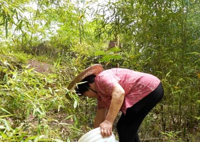 經商父出國後失聯！家中司機看不下去「帶黑人男孩回農村」　奶奶好心收養「現況曝光」感動全網