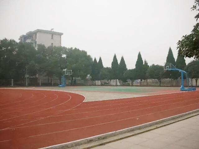 經商父出國後失聯！家中司機看不下去「帶黑人男孩回農村」　奶奶好心收養「現況曝光」感動全網