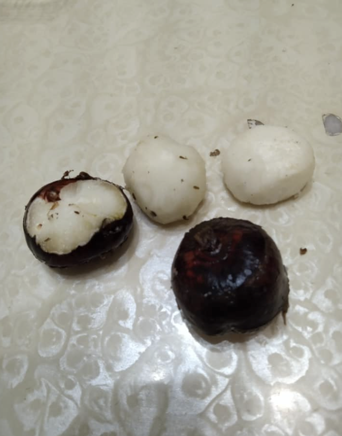 真的能吃嗎？市場買到「黑嚕嚕神秘食材」苦惱不會煮　饕客一看「跟水梨一樣脆甜」：燉湯超好喝