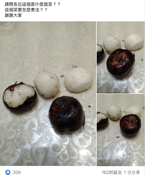 真的能吃嗎？市場買到「黑嚕嚕神秘食材」苦惱不會煮　饕客一看「跟水梨一樣脆甜」：燉湯超好喝