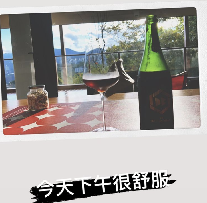 硬核辣媽！陳意涵「產後一個月」就喝酒　意外曝光「新入住的豪宅」超大陽台好敞亮