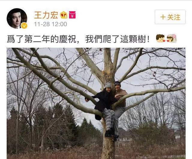 力壓舒淇嫁王力宏！5年生3胎「冠夫姓」的李靚蕾　被閨蜜曝「離婚關鍵」敗在了4個字