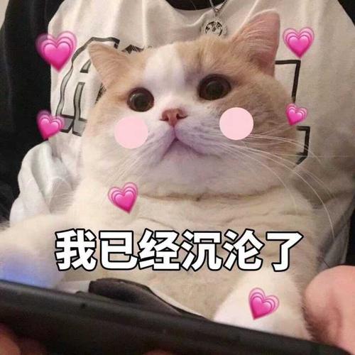 只承認她比自己美！張柏芝罕見同框女神「戀上富商幼子生父」成迷　後者嫁殘疾富豪「成人生贏家」
