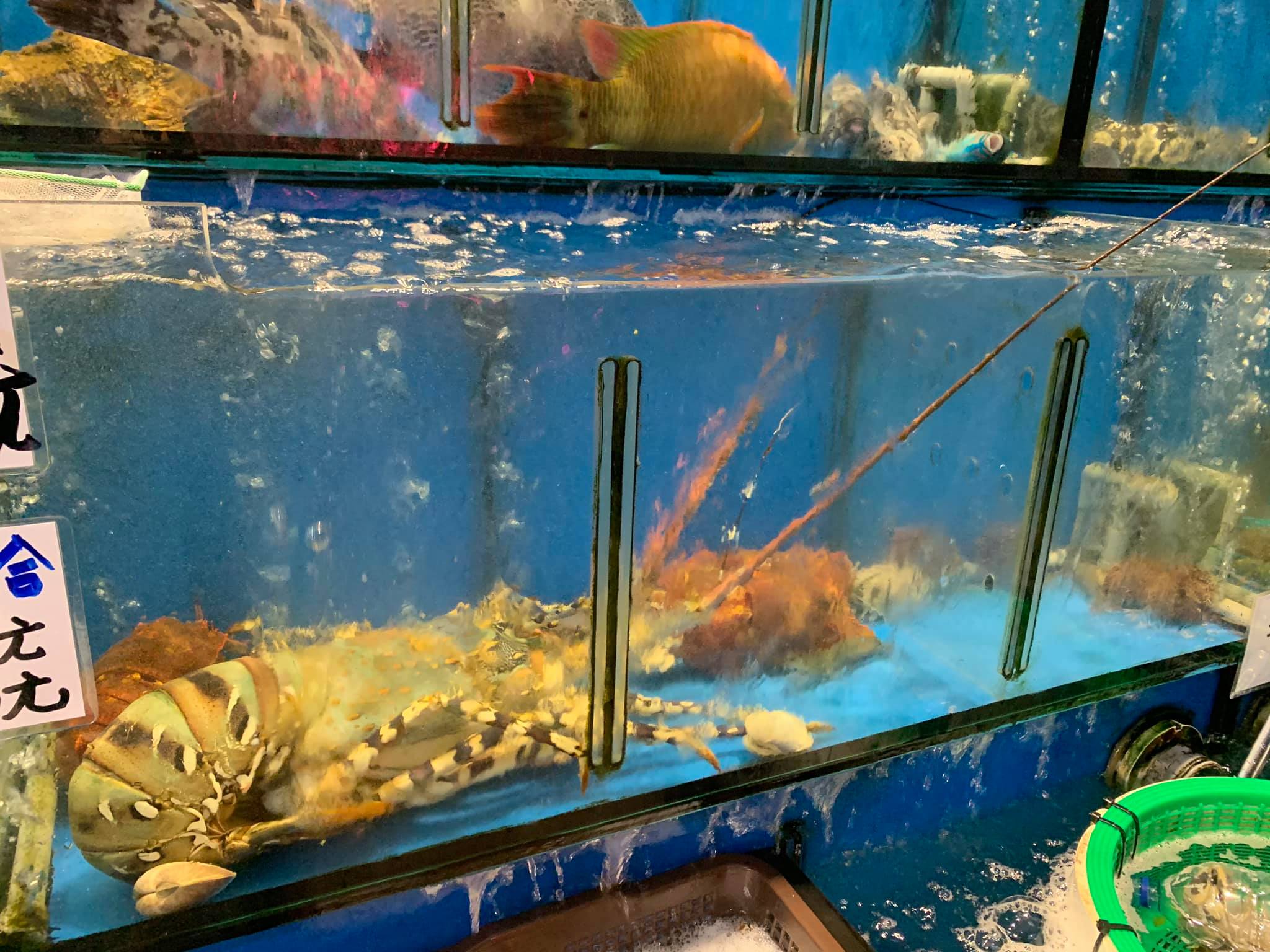 一片只要5元！超厚「爆量平價生魚片」CP值超高　點最大份量「端上桌像滿漢大餐」飽到天靈蓋