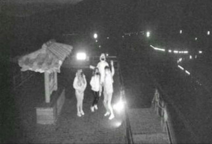 深夜闖合歡山！詭異女子「呆站武嶺1小時」鏡頭全都錄　下一秒「她轉頭招手」結局網傻住：是人還是鬼