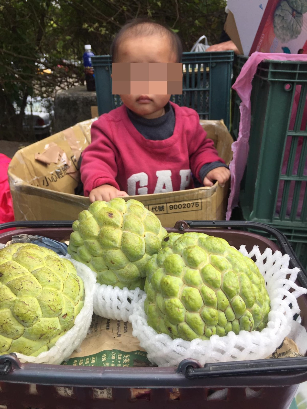虎頭山擺攤！釋迦媽媽獨自「頂寒風冒雨撐生計」　「往紙箱塞奶瓶」掀開一看：令人鼻酸