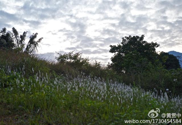 幸福其實很簡單！51歲女星爆紅息影「隱居鄉村四層別墅」　「院子種滿果樹」一抬頭驚艷：世外桃源