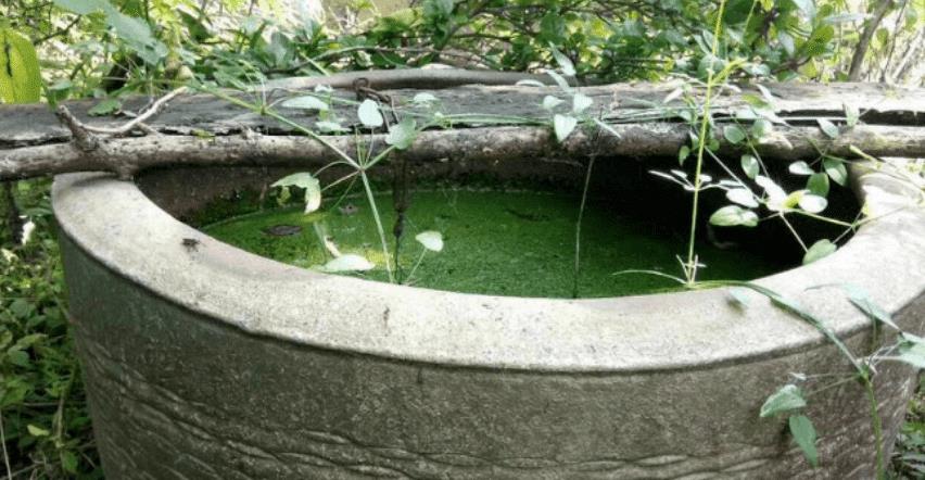 是妖怪嗎？老人撿到「白髮石頭」拿回家還在長　專家鑒定後「臉色大變」：立刻封鎖村莊