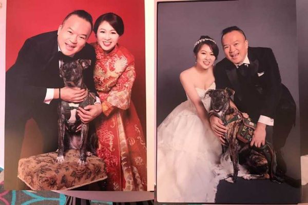 47歲才結婚！明金成「2段情傷太重」主動放手：不耽誤她青春　開玩笑「不能陪孩子長大」一語成讖