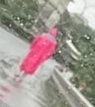 帶女友去看海！他曬照片「女友整路都在睡」超無言　網友「放大照片後發毛」驚喊：快去廟裡拜拜