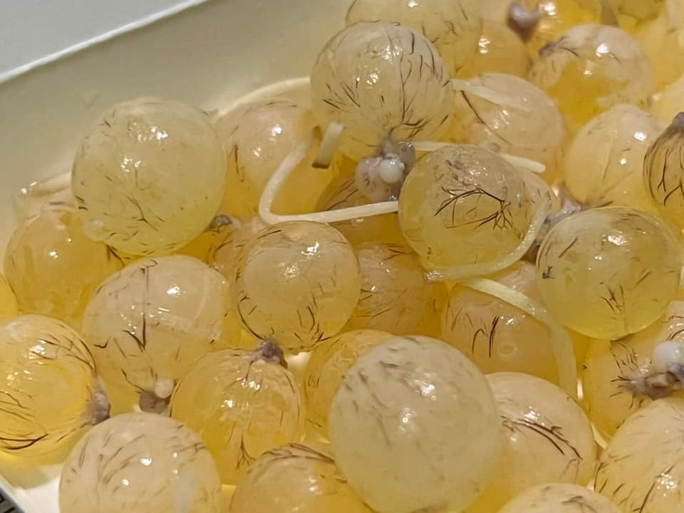 南部人記憶中的味道！她興奮買「整盒玻璃珠」：一堆人竟沒吃過　老饕驚呼「吃完乒乓叫」味道絕了