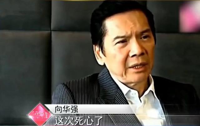 玉女形象毀滅？張柏芝「遭控訴是撒謊精」內幕曝光　大咖影后不忍狂酸：「丟香港演員的臉！」