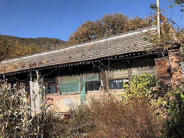 比血緣還親！大伯遇難終生臥床「弟媳留守照顧12年」　全家感動「沒有她活不成」善行傳為佳話