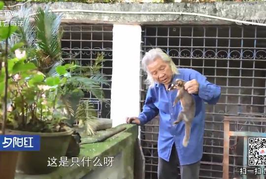  自掏腰包蓋動物園！81歲老兵「堅持當牠們的守護神」花光千萬積蓄　苦守32年「只為圓女兒臨終前遺願」