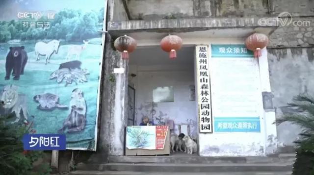  自掏腰包蓋動物園！81歲老兵「堅持當牠們的守護神」花光千萬積蓄　苦守32年「只為圓女兒臨終前遺願」