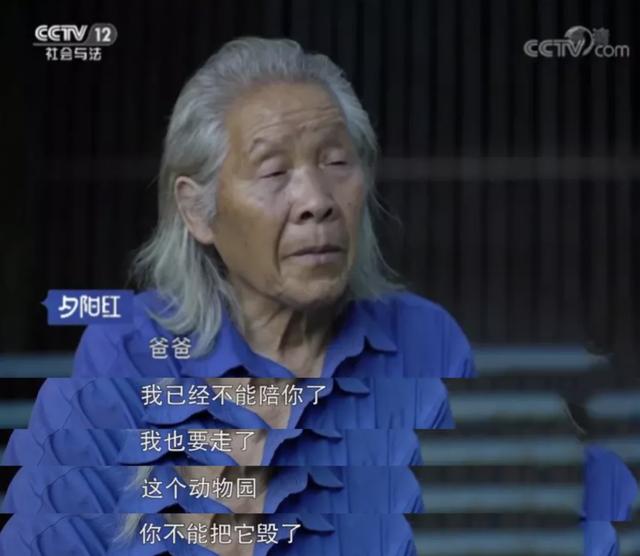  自掏腰包蓋動物園！81歲老兵「堅持當牠們的守護神」花光千萬積蓄　苦守32年「只為圓女兒臨終前遺願」