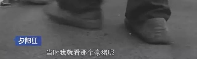 自掏腰包蓋動物園！81歲老兵「堅持當牠們的守護神」花光千萬積蓄　苦守32年「只為圓女兒臨終前遺願」