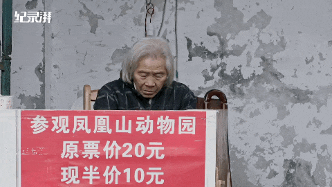  自掏腰包蓋動物園！81歲老兵「堅持當牠們的守護神」花光千萬積蓄　苦守32年「只為圓女兒臨終前遺願」