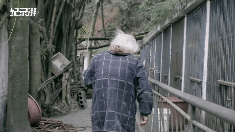  自掏腰包蓋動物園！81歲老兵「堅持當牠們的守護神」花光千萬積蓄　苦守32年「只為圓女兒臨終前遺願」