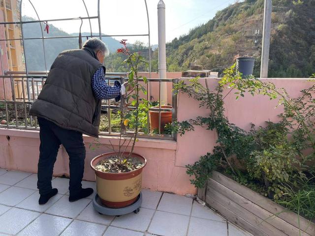 老同學你在嗎？80歲爺爺錯發簡訊「誤傳給陌生高中生」　意外變忘年之交「揭開動人往事」結局感動全網