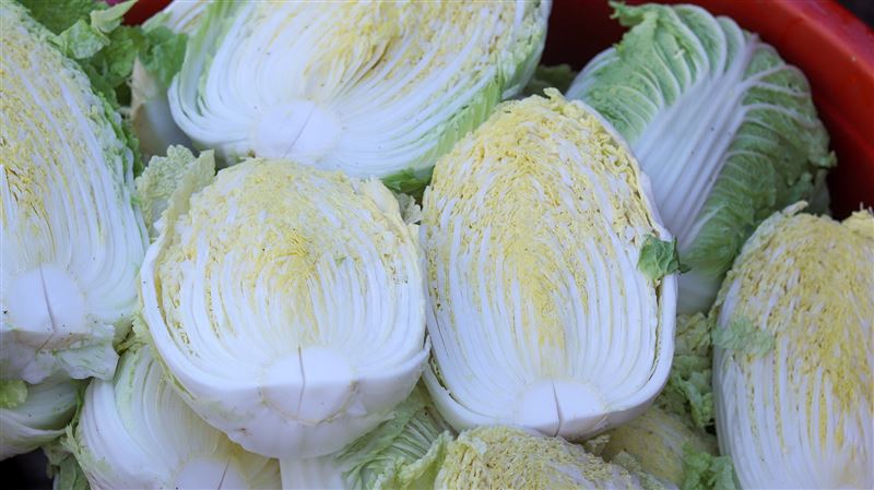 曬衣服突小中風！65歲嬤不愛喝水「靠每天吃超級蔬菜」　3個月檢查結果「連醫生都甘拜下風」