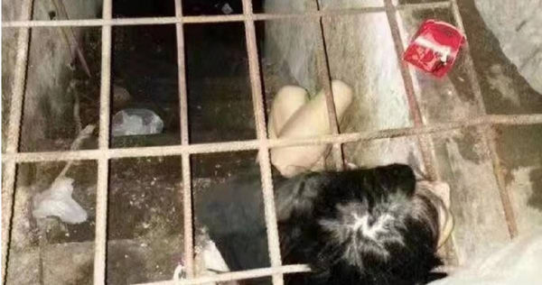 直播逼妻生2孩！網紅炫耀「她精神失常被關鐵籠」泯滅人性　警察一查發現「是失蹤10年女大生」犯案過程曝光